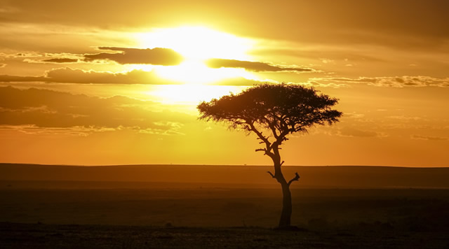 Countries in sub-Saharan Africa are struggling to recover their economies